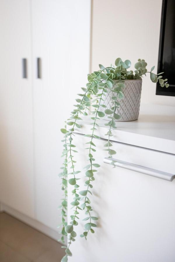 Dona Concha Alameda Apartment เซบีญา ภายนอก รูปภาพ